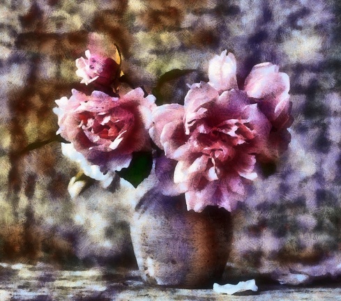 roses HDR