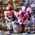 roses HDR